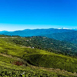 Koshi Province