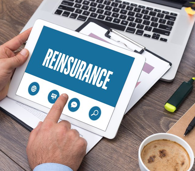 Reinsurance Image